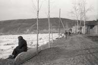 В ожидании большой воды весной 1966 г.